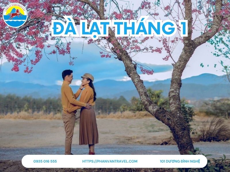 Du Lịch Đà Lạt Tháng 1 Có Gì? Tất Tần Tật Những Điều Cần Biết