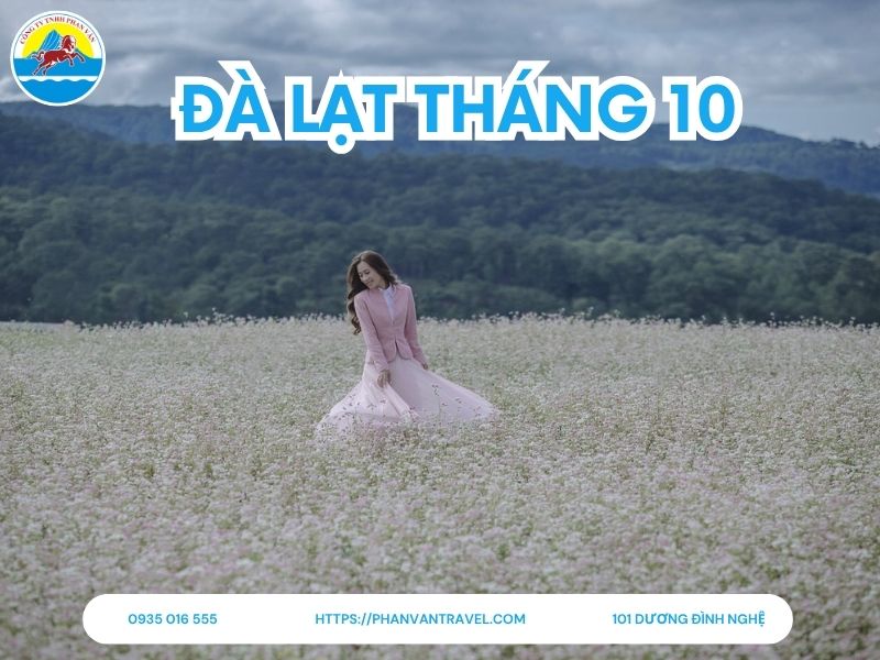 Đà Lạt Tháng 10: Thời Tiết, Địa Điểm Check-in và Kinh Nghiệm Du Lịch Toàn Tập