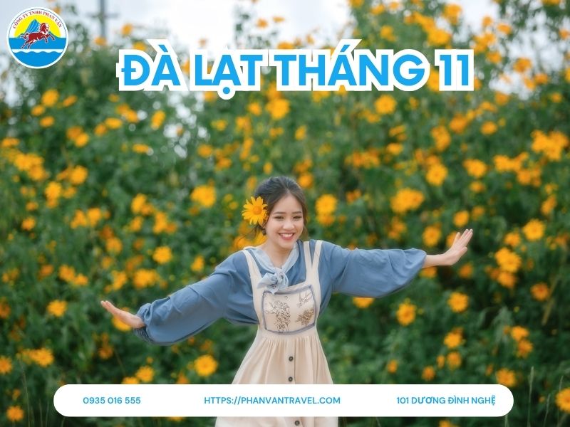 Đà Lạt Tháng 11 Có Gì HOT? Trọn Bộ Kinh Nghiệm Du Lịch Mới Nhất