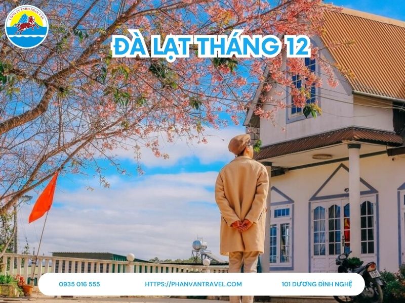Kinh Nghiệm Du Lịch Đà Lạt Tháng 12 Chi Tiết: Thời Tiết, Địa Điểm Săn Mây và Chi Phí