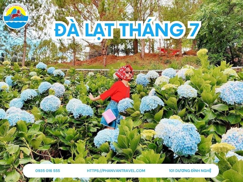Du Lịch Đà Lạt Tháng 7 Có Nên Đi? Cập Nhật Thời Tiết và Điểm Check-in Tuyệt Đẹp