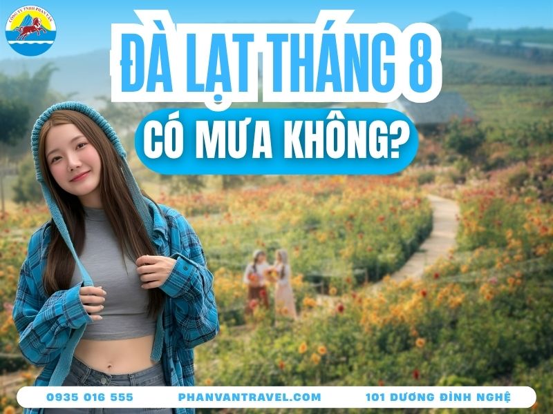 Đà Lạt Tháng 8 Có Mưa Không? Gợi Ý Địa Điểm Du Lịch Mùa Mưa