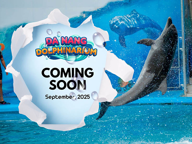 Da Nang Dolphinarium: Giá Vé, Lịch Biểu Diễn Và Cách Đặt Vé Nhanh Nhất