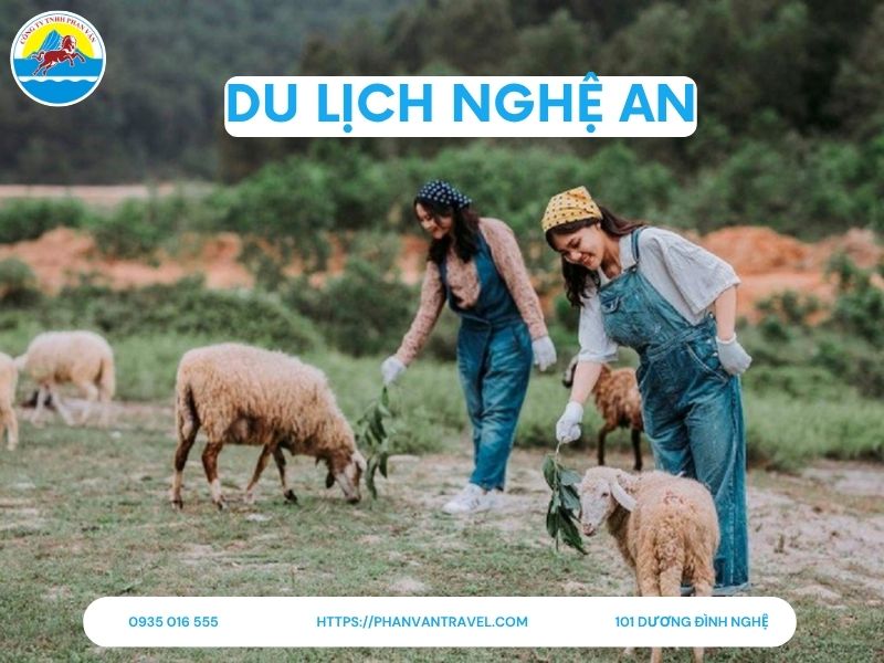 Tổng Hợp 15 Địa Điểm Du Lịch Nghệ An Không Thể Bỏ Qua 2025