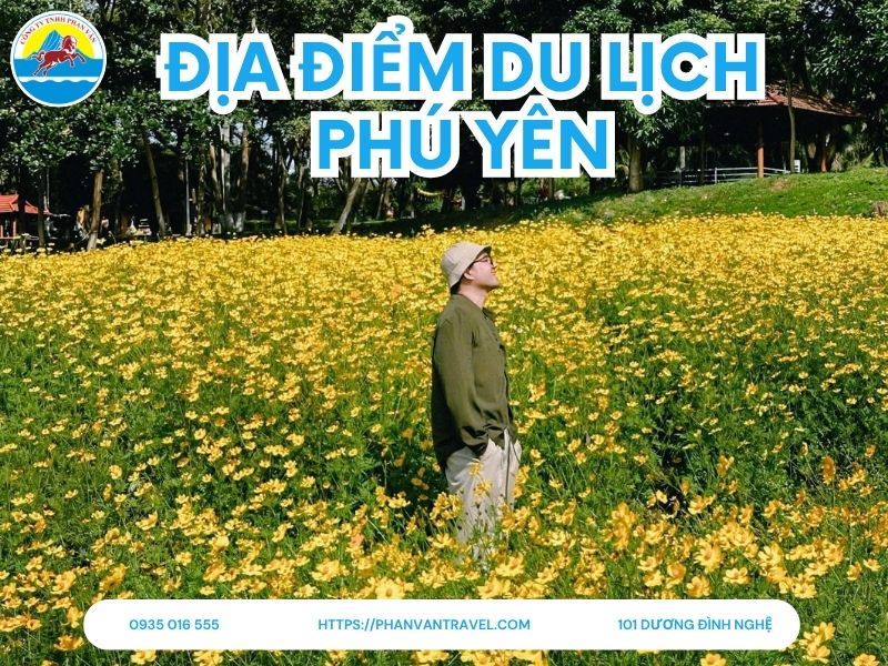 Top 20+ Địa Điểm Du Lịch Phú Yên Đẹp Quên Lối Về Cập Nhật Mới Nhất