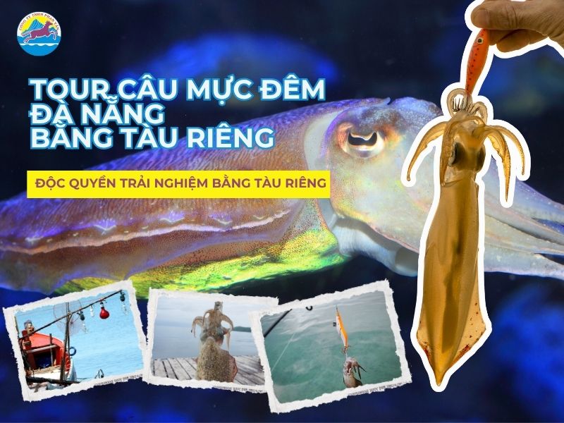 Độc quyền trải nghiệm với Tour câu mực đêm Đà Nẵng bằng tàu riêng