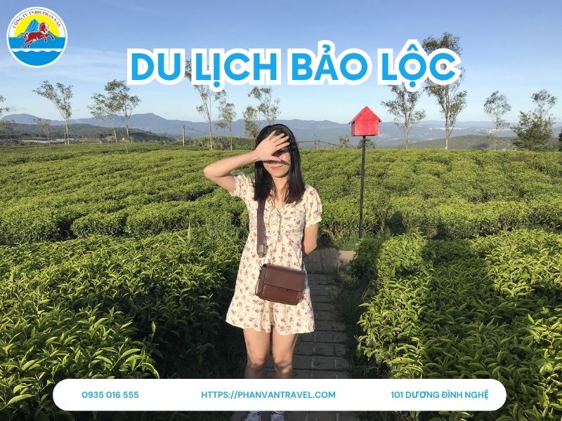 Du Lịch Bảo Lộc Có Gì? 15+ Địa Điểm Du Lịch Bảo Lộc Hấp Dẫn Nhất 2025