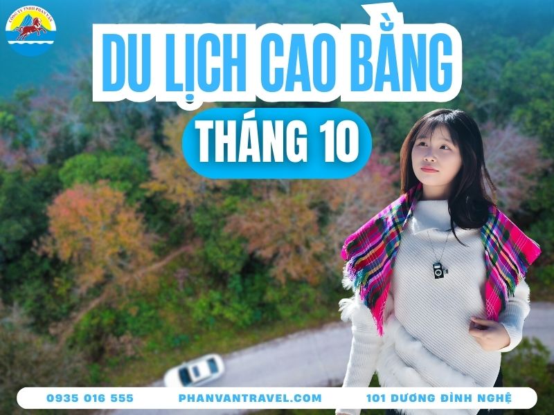 Du Lịch Cao Bằng Tháng 10 - Check-In Mùa Hoa Tam Giác Mạch