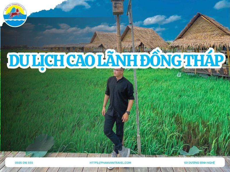 Du Lịch Cao Lãnh Đồng Tháp: Hành Trình Về Thủ Phủ Đất Sen Hồng