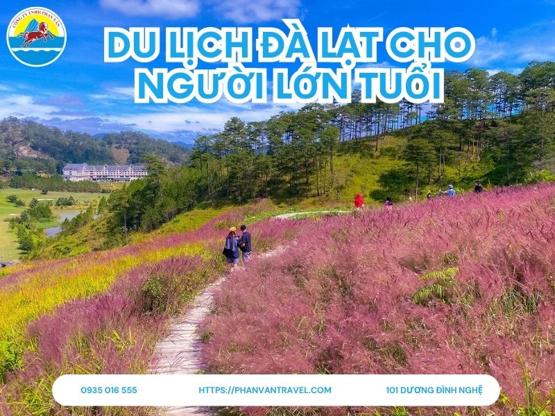 Du lịch Đà Lạt Cho Người Lớn Tuổi: Lịch Trình Nhẹ Nhàng, Trọn Vẹn Nhất