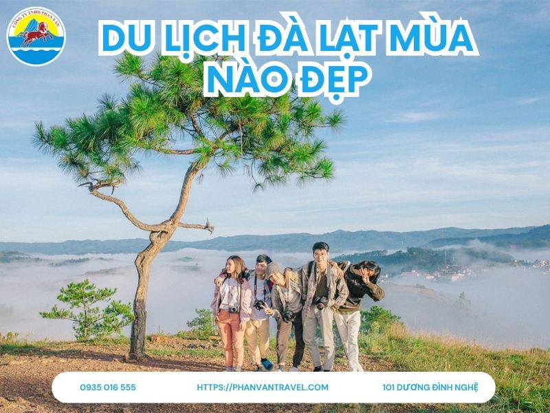 Du Lịch Đà Lạt Mùa Nào Đẹp Nhất? Nên Đi Tháng Mấy (Chi Tiết 2025)