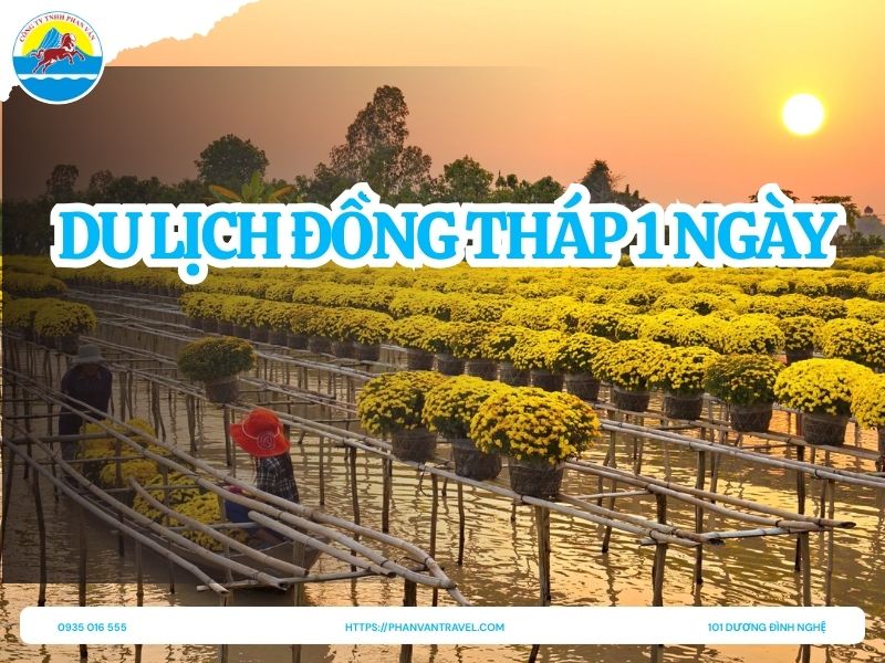 Du Lịch Đồng Tháp 1 Ngày: Khám Phá Trọn Vẹn Với Lịch Trình Tối Ưu