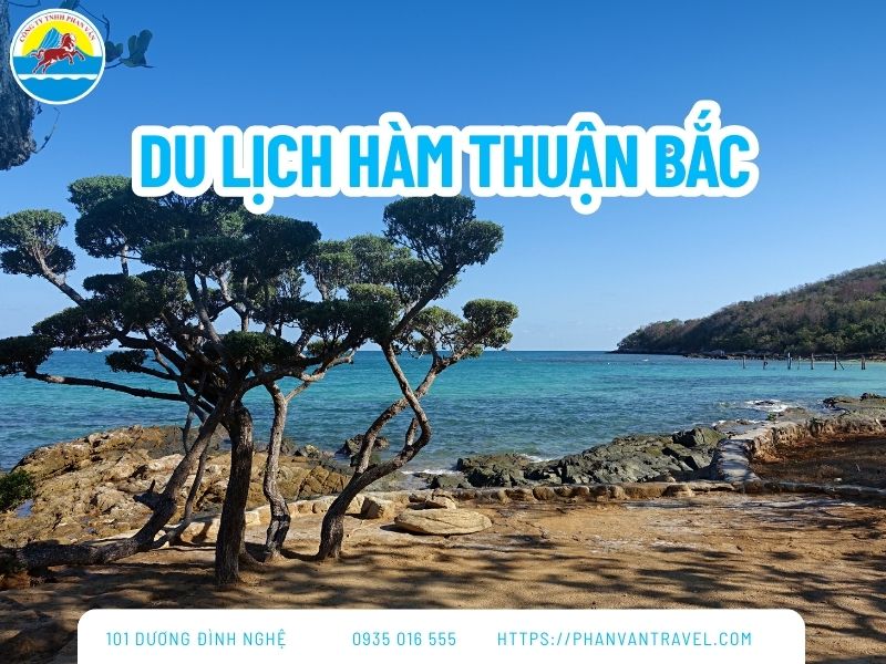 Du Lịch Hàm Thuận Bắc: Khám Phá 5 Điểm Đến Không Thể Bỏ Lỡ Năm 2026