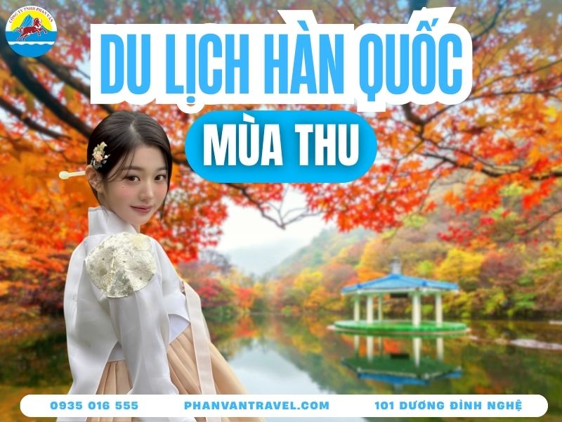 Tổng Hợp Kinh Nghiệm Du Lịch Hàn Quốc Mùa Thu Chi Tiết 2026
