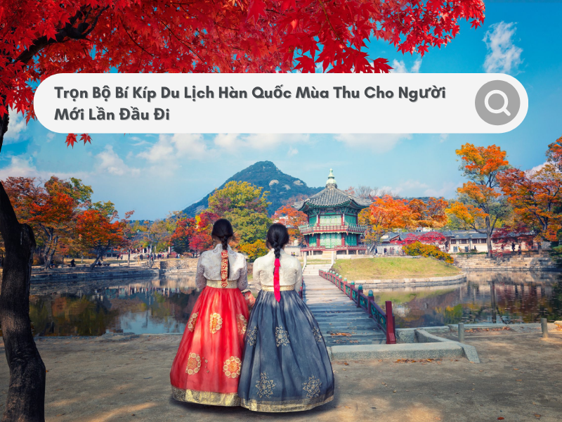 Trọn Bộ Bí Kíp Du Lịch Hàn Quốc Mùa Thu Cho Người Mới Lần Đầu Đi