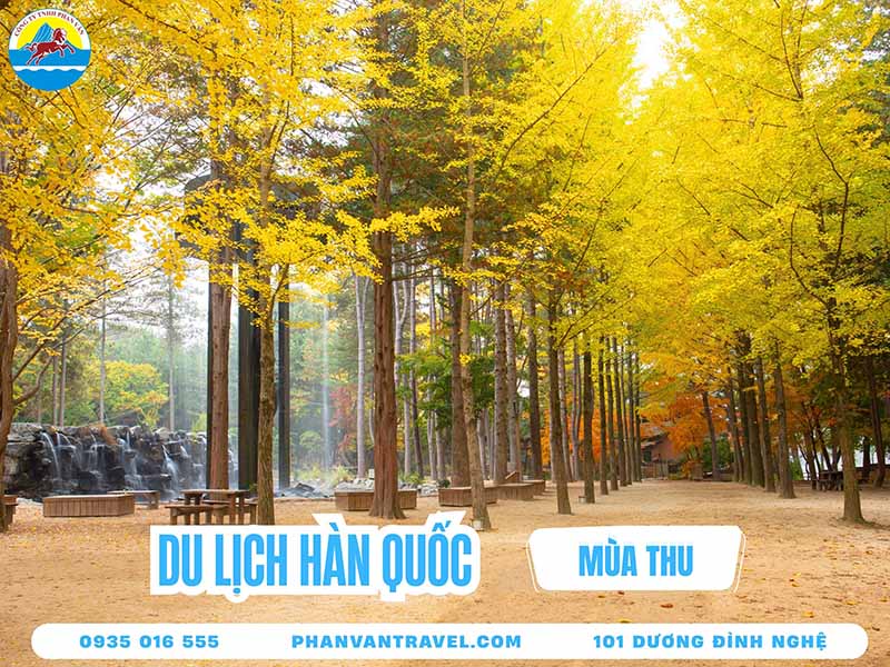 Cẩm Nang Du Lịch Hàn Quốc Mùa Thu: Tất Tần Tật Cho Người Đi Lần Đầu