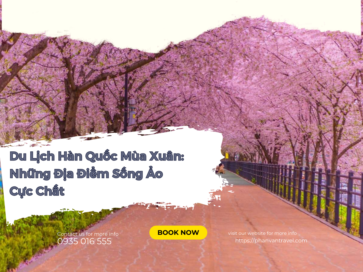 Du Lịch Hàn Quốc Mùa Xuân: Những Địa Điểm Sống Ảo Cực Chất