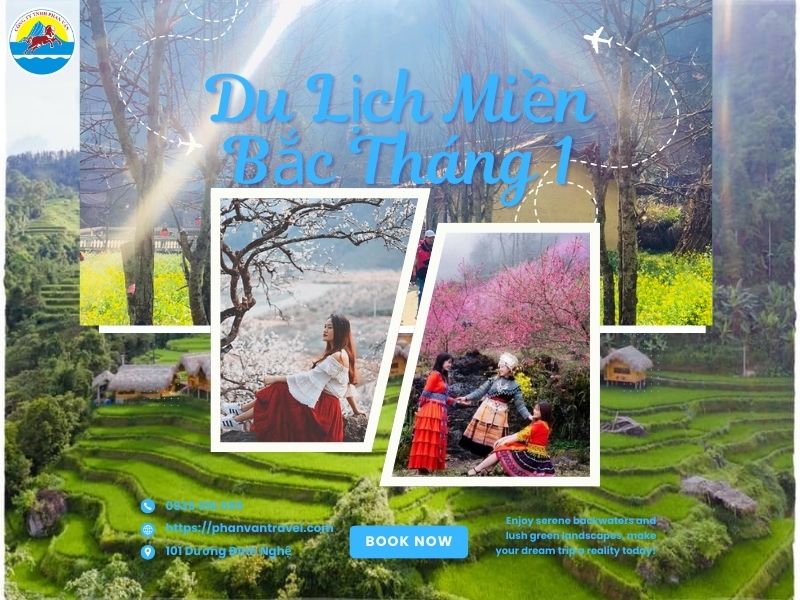 Du Lịch Miền Bắc Tháng 1: Combo Săn Tuyết, Ngắm Hoa, Du Xuân Lễ Hội