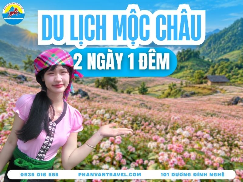 Du Lịch Mộc Châu 2 Ngày 1 Đêm: Lịch Trình & Chi Phí Chi Tiết 2026