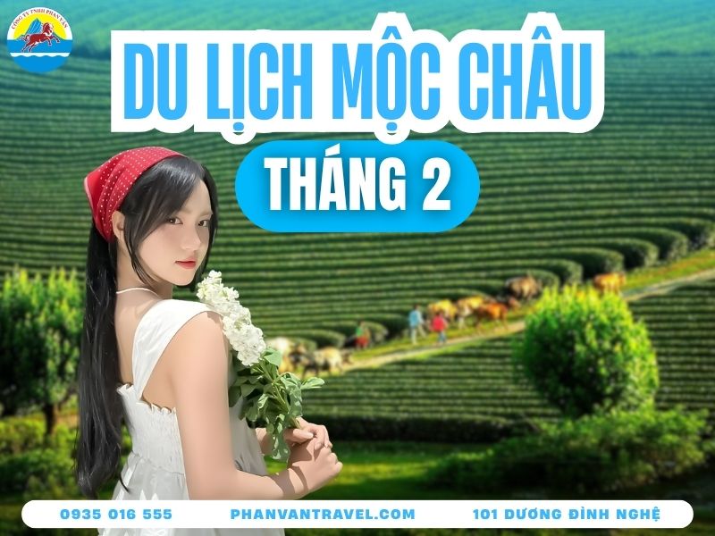 Hỏi Đáp Du Lịch Mộc Châu Tháng 2 Có Gì Đẹp Và Nên Đi Đâu?
