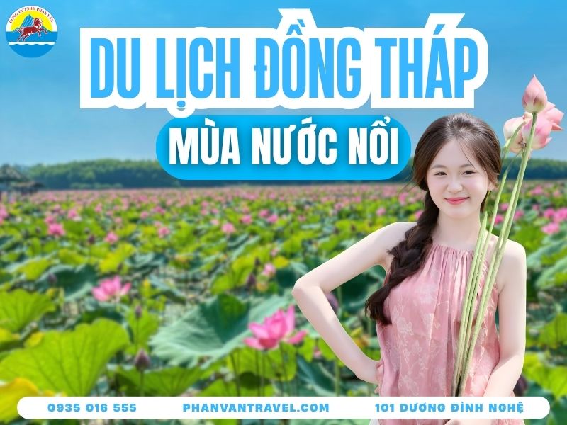 Kinh Nghiệm Du Lịch Mùa Nước Nổi Đồng Tháp: Ăn Gì, Chơi Đâu?