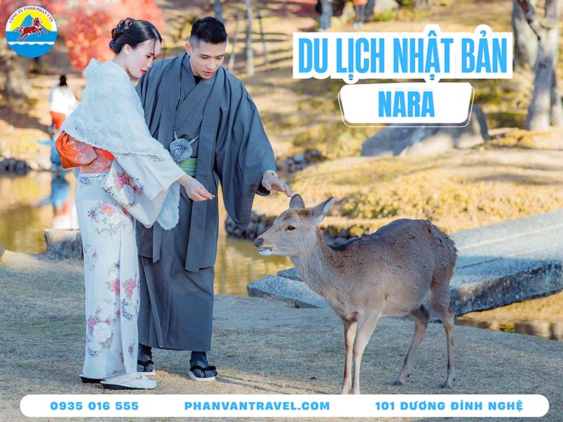 Du Lịch Nara Nhật Bản: Khám Phá Thánh Địa Nai Và Các Di Sản UNESCO