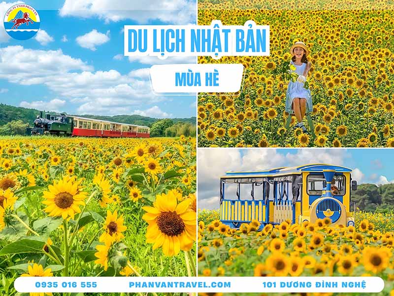 Du Lịch Nhật Bản Mùa Hè: Trọn Bộ Kinh Nghiệm, Điểm Đến Và Lễ Hội