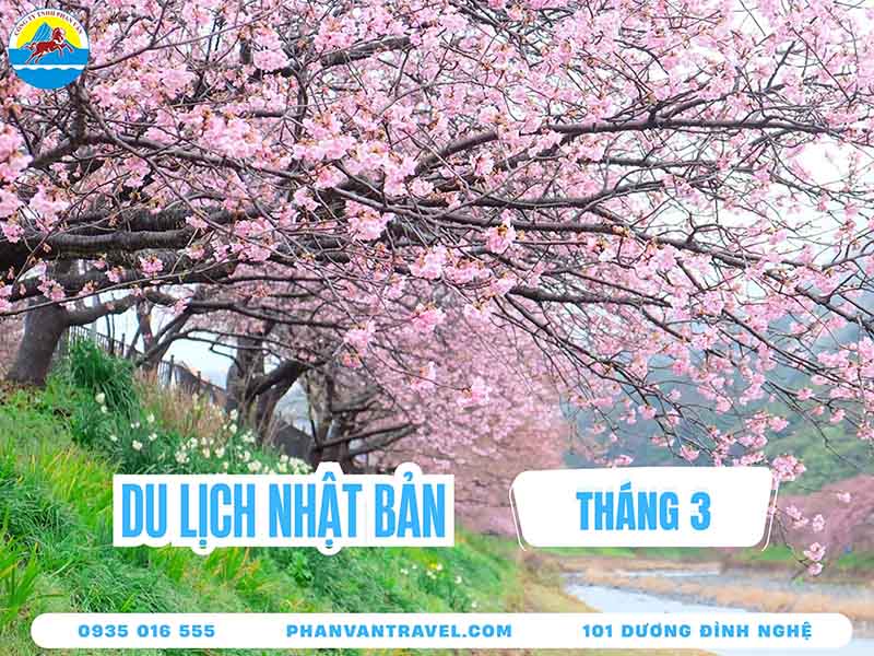 Du Lịch Nhật Bản Tháng 3​: Lễ Hội, Hoa Anh Đào Và Thời Tiết Lý Tưởng