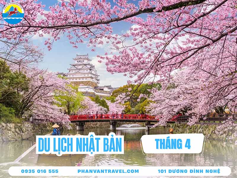 Du Lịch Nhật Bản Tháng 4: Mùa Hoa Anh Đào Rực Rỡ Và Lễ Hội Đặc Sắc