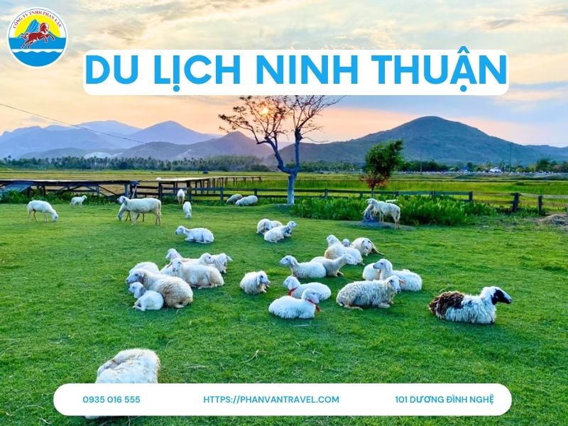 Du Lịch Ninh Thuận: Top 20 Điểm Đến Hấp Dẫn Nhất Năm 2025