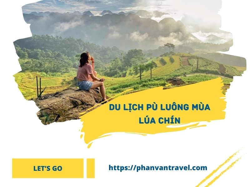 Du Lịch Pù Luông Mùa Lúa Chín: Những Điểm Check-in Đẹp Nhất