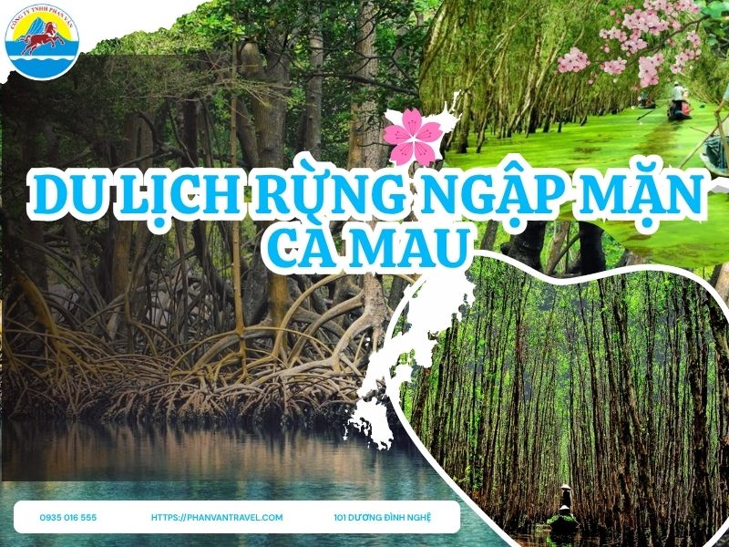 Du lịch Rừng Ngập Mặn Cà Mau: Trải Nghiệm Đáng Nhớ Tại Đất Mũi