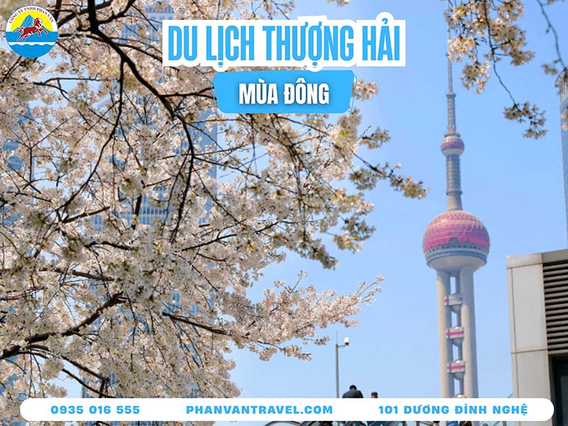 Du Lịch Thượng Hải Mùa Đông: Trải Nghiệm Thành Phố Trầm Lắng, Quyến Rũ