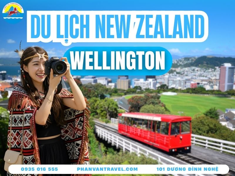 Du Lịch Wellington: Top Địa Điểm Check-In Đẹp Không Góc Chết