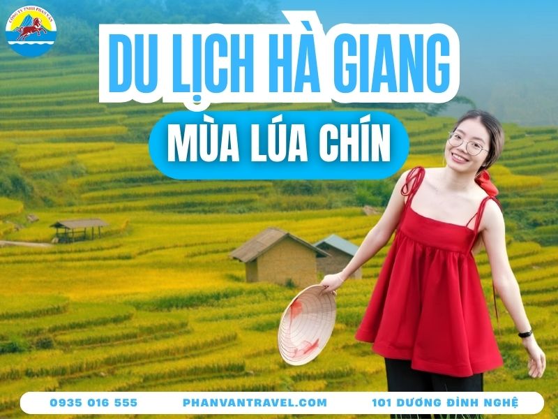 Du Lịch Hà Giang Mùa Lúa Chín - Mùa Săn Ảnh Của Dân Xê Dịch