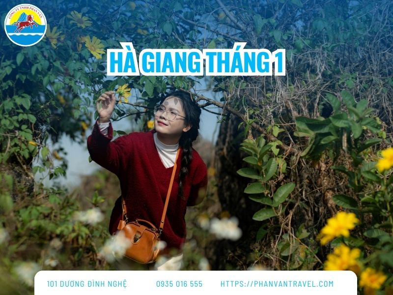 Hà Giang Tháng 1: Lạc Lối Giữa Mùa Hoa Đào, Hoa Mận Nở Sớm