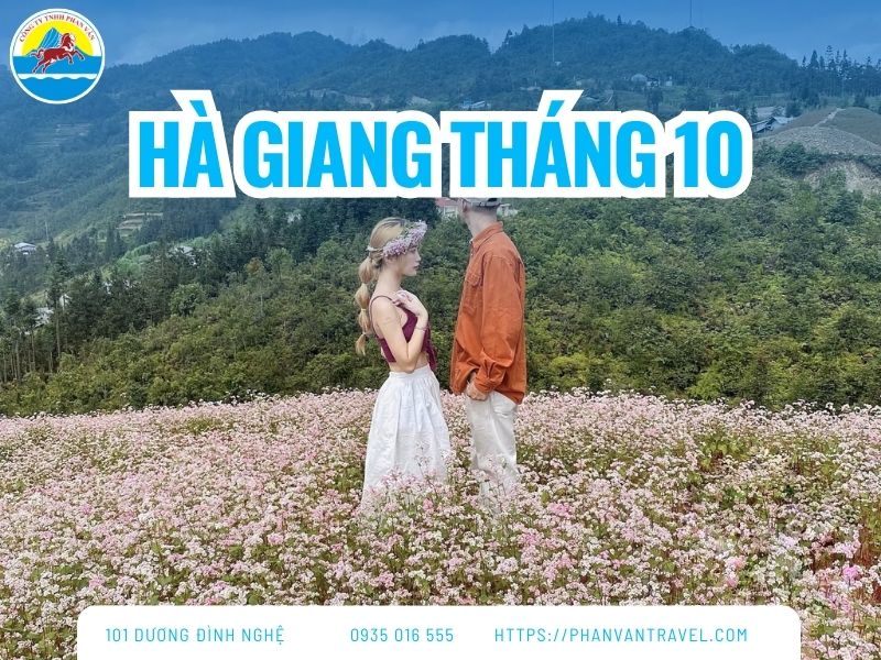 Kinh Nghiệm Du Lịch Hà Giang Tháng 10 Cho Chuyến Đi Trọn Vẹn