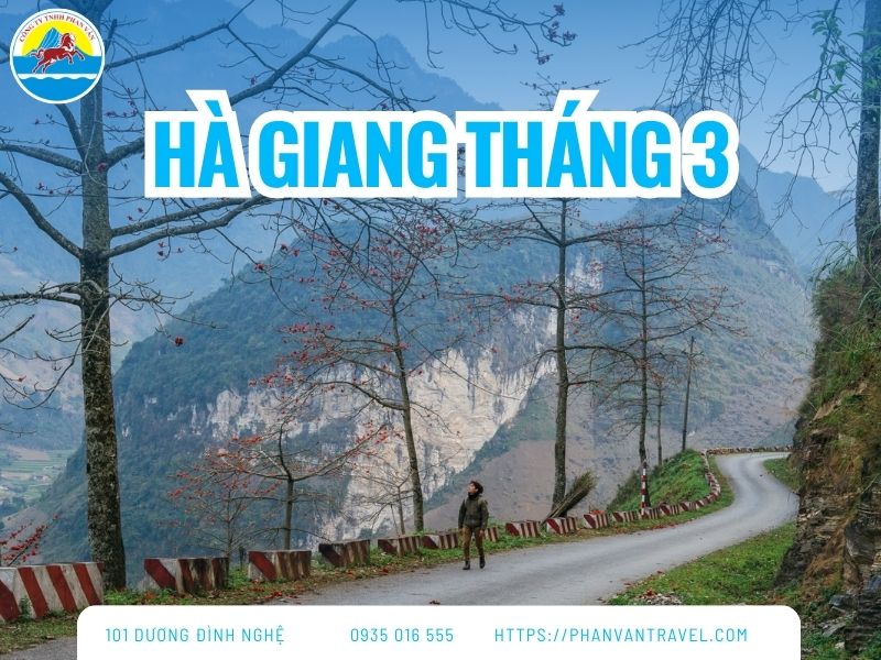 Du Lịch Hà Giang Tháng 3: Mùa Hoa Nở Rực Rỡ Trên Cao Nguyên Đá