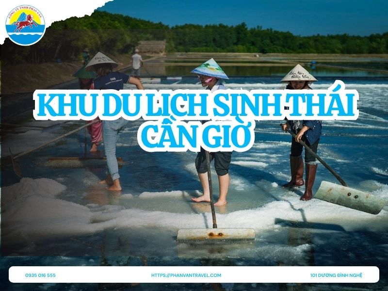 Khu Du Lịch Sinh Thái Cần Giờ: 6 Trải Nghiệm Độc Đáo Tại Lá Phổi Xanh Gần Sài Gòn