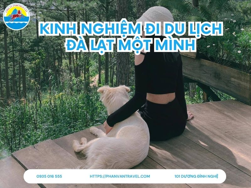 Kinh Nghiệm Đi Du Lịch Đà Lạt Một Mình An Toàn, Tiết Kiệm và Trọn Vẹn