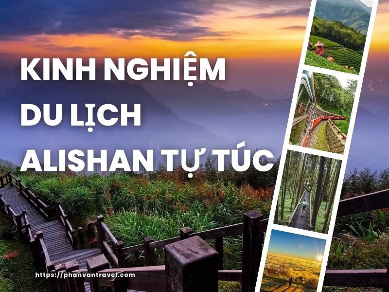 Kinh Nghiệm Du Lịch Alishan Tự Túc Mới Nhất: Cẩm Nang Từ A-Z