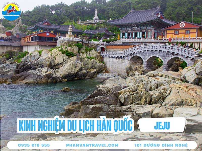 Kinh Nghiệm Du Lịch Đảo Jeju Hàn Quốc: Đi Tự Túc Hay Theo Tour?