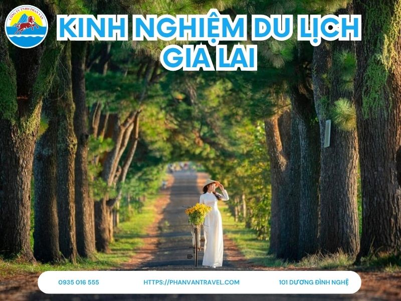 Kinh nghiệm Du lịch Gia Lai Tự Túc 2026: Cẩm Nang Khám Phá Phố Núi A-Z