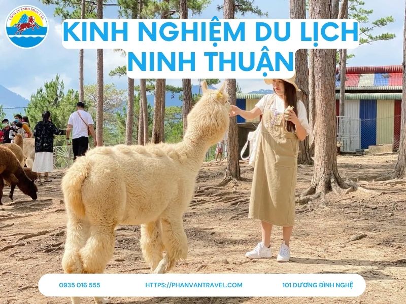 Kinh Nghiệm Đi Du Lịch Ninh Thuận: Chơi Gì, Ăn Gì, Ở Đâu, Chi Phí Bao Nhiêu?
