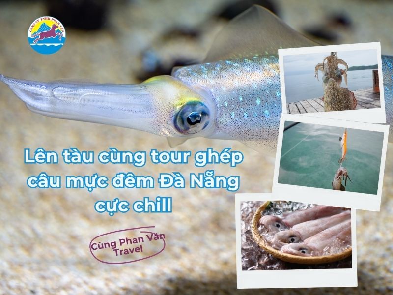 Lên tàu cùng tour ghép câu mực đêm Đà Nẵng cực chill