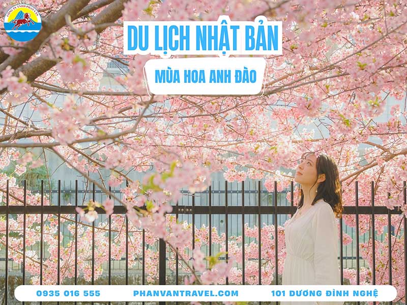 Du Lịch Mùa Hoa Anh Đào Nhật Bản: Lịch Nở, Địa Điểm Và Kinh Nghiệm