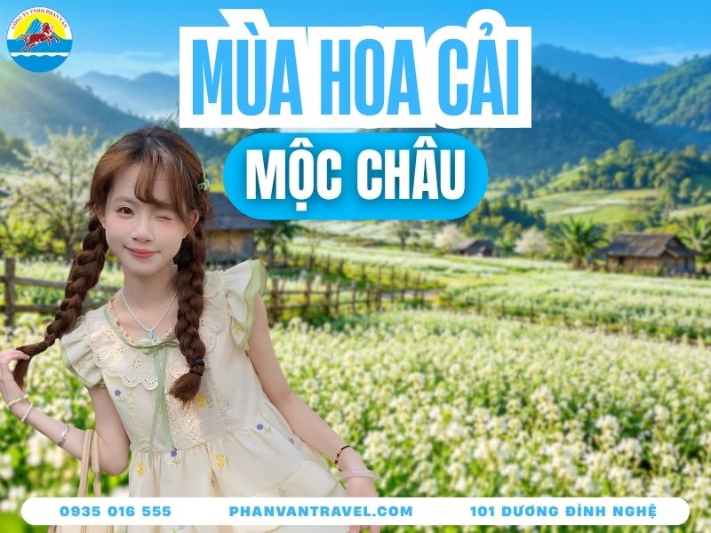 Du Lịch Mùa Hoa Cải Mộc Châu 2026: Thời Điểm & Kinh Nghiệm