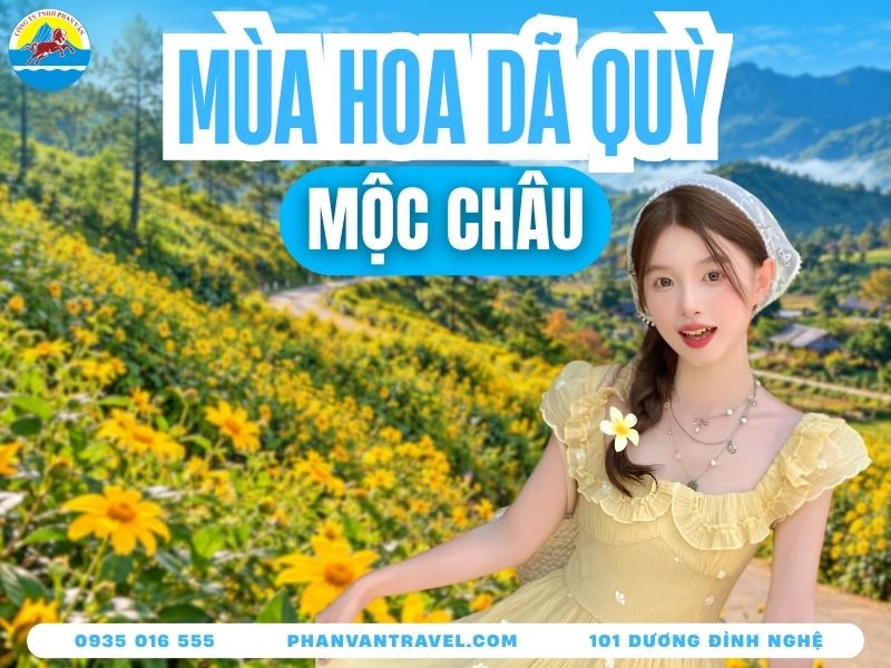 Mùa Hoa Dã Quỳ Mộc Châu 2026: Thời Điểm, Địa Điểm Và Kinh Nghiệm