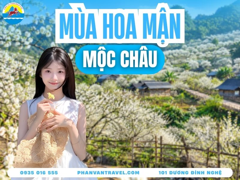 Mùa Hoa Mận Mộc Châu 2026: Thời Điểm Đẹp, Địa Điểm Và Kinh Nghiệm