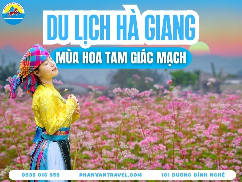 Review 10 Tọa Độ Săn Mùa Hoa Tam Giác Mạch Hà Giang Từ A-Z